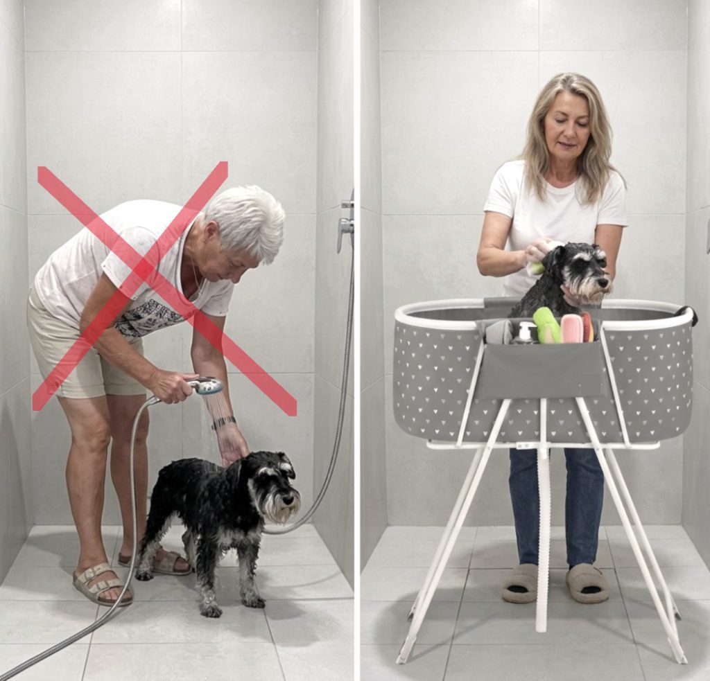 Dvergschanauzer blir dusjet med eier som må stå bøyd over hunden, vond rygg og vond arbeidsstilling. Bildet ved siden av viser løsningen med å bruke Badebikkjas hundebadekaret slik at hun kan stå oppreist og ha det behagelig når hun bader hunden. Bra for eier og bra for hunden.